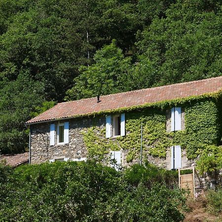 Les Jardins De Lumiere Bed & Breakfast Brusque Exterior photo