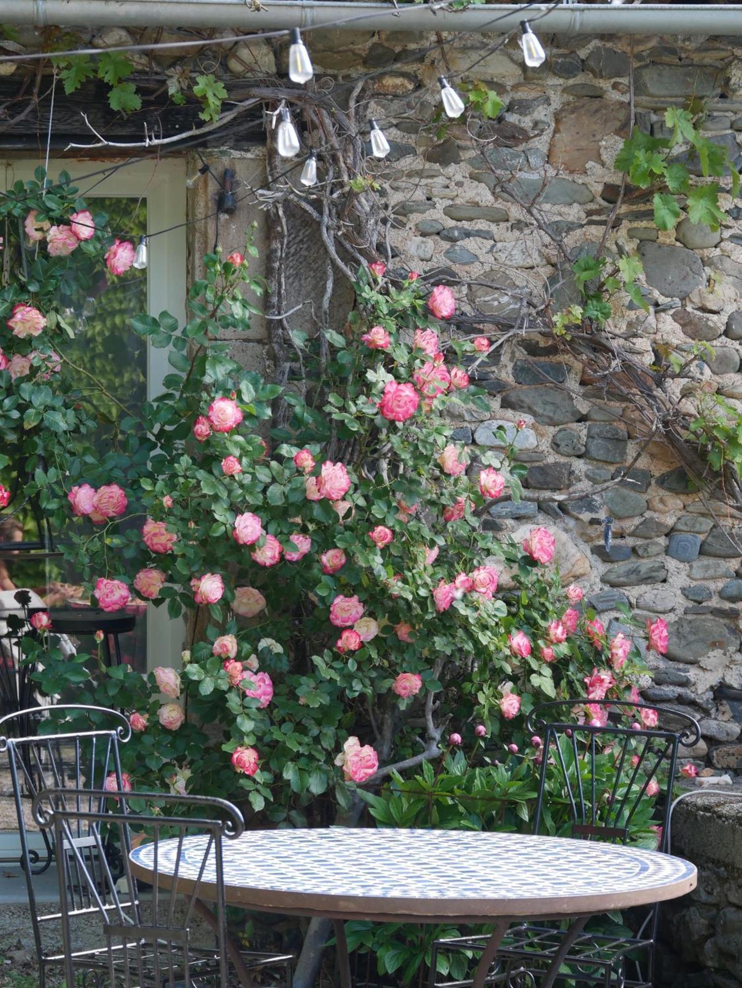 Les Jardins De Lumiere Bed & Breakfast Brusque Exterior photo